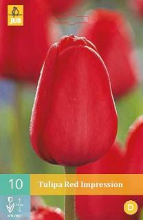 Tulipán Red Impression (Darwin Hybrid)