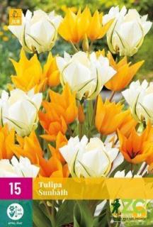 Tulipán Sunbath XXL