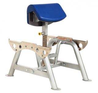 Posilovací lavice na biceps 3555