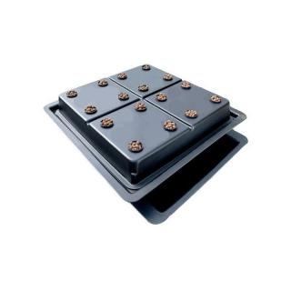 Amazon 16, pro 16 rostlin