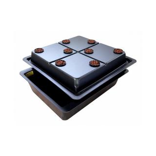 Amazon 8, pro 8 rostlin