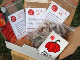 CHILLIMAT Set semínek chilli - středně pálivé odrůdy + jiffy ke klíčení 30 ks