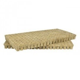 Grodan 25x25x40 mm, sadbovací kostka s dírou, 1 ks