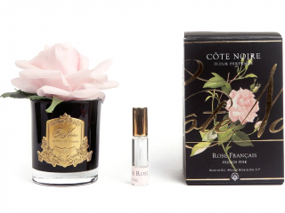 Côte Noire – parfémovaná růže French Pink v černé váze