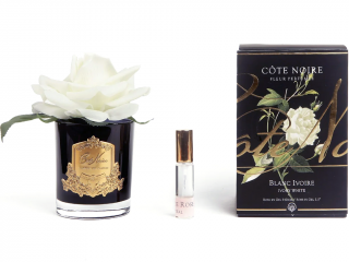 Côte Noire – parfémovaná růže Ivory White v černé váze