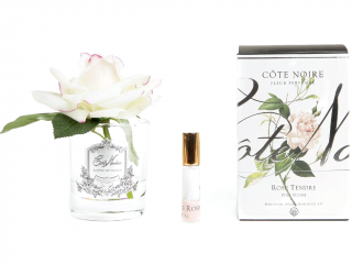 Côte Noire – parfémovaná růže Pink Blush v čiré váze