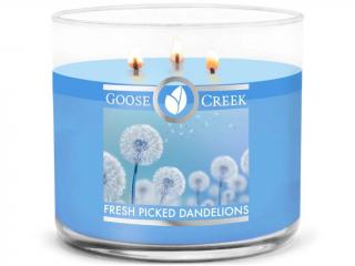 Goose Creek – vonná svíčka Fresh Picked Dandelions (Čerstvě natrhané pampelišky), 411 g