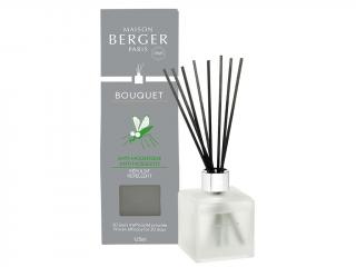 Maison Berger Paris – Anti Mosquito aroma difuzér Proti komárům, 125 ml