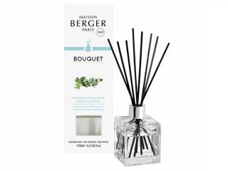 Maison Berger Paris – aroma difuzér Fresh Eucalyptus (Čerstvý eukalyptus), 125 ml