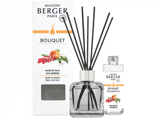 Maison Berger Paris – difuzér s tyčinkami Goji Berries (Lahodné goji), 100 ml