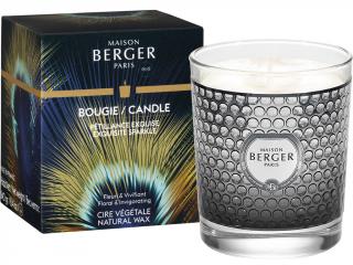 Maison Berger Paris – Etincelle vonná svíčka Exquisite Sparkle (Intenzivní třpyt), 240 g