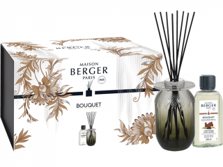 Maison Berger Paris – sada difuzér s tyčinkami Evanescence šedá a náplň Mystic Leather (Mystická kůže)