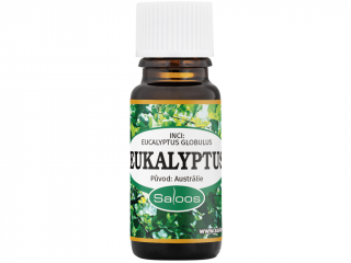 Saloos – esenciální olej Eukalyptus (Eucalyptus globulus) Objem: 10 ml