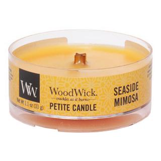 WoodWick – Petite Candle vonná svíčka Seaside Mimosa (Mimóza na pobřeží), 31 g