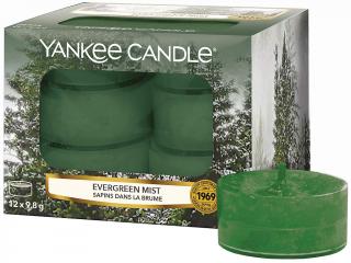 Yankee Candle – čajové svíčky Evergreen Mist (Lesní mlha), 12 ks