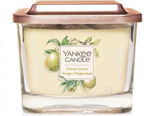 Yankee Candle – Elevation vonná svíčka Citrus Grove (Citrusový háj), 347 g