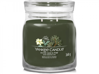 Yankee Candle – Signature svíčka Silver Sage & Pine (Stříbrná šalvěj a borovice) Velikost: střední 368 g