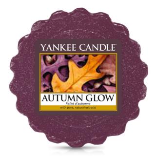 Yankee Candle – vonný vosk Autumn Glow (Zamilovaný podzim), 22 g