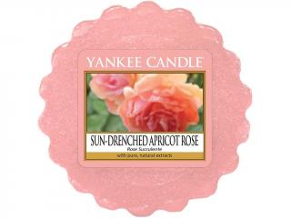 Yankee Candle – vonný vosk Sun Drenched Apricot Rose (Vyšisovaná meruňková růže), 22 g