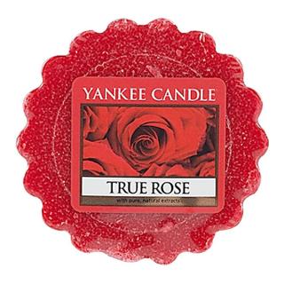 Yankee Candle – vonný vosk True Rose (Pravá růže), 22 g