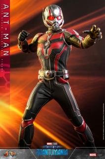 Ant-Man & The Wasp: Quantumania:Ant-Man Hot Toys