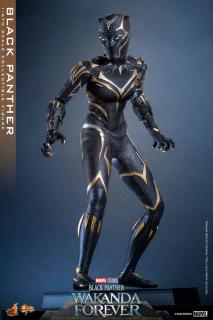 Hot Toys Black Panther: Wakanda Forever 1/6 Black Panther