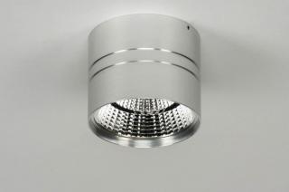 Stropní bodové stříbrné LED svítidlo Topas Silver (LMD)