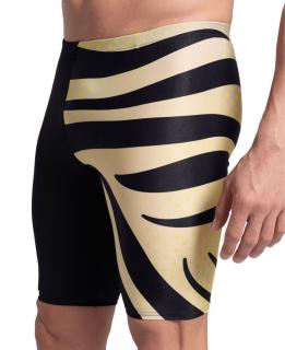 Arena Men's Multi Stripes plavky pánské Jammer Velikost: 4/46/80/S