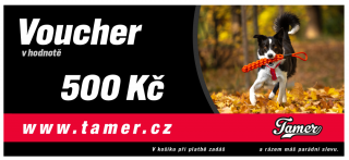 Dárkový poukaz na 500,- Verze: Tištěná