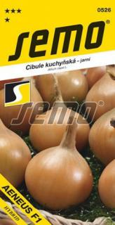 Cibule AENEUS F1 - žlutá, jarní