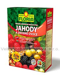 FLORIA 2,5 kg jahody, drobné ovoce