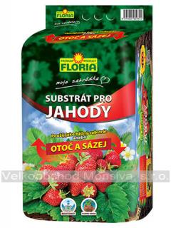 FLORIA Substrát pro jahody 40l/AKCE