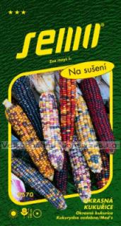 Kukuřice okrasná Multicolor