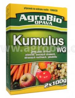 Kumulus WG 2*100 gr