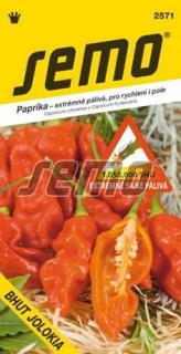 Paprika BHUT JOLOKIA extrém.silně pálivá