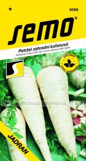 Petržel JADRAN - kořenová