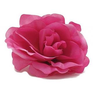 Růže vazb. cyklamen 9cm (24ks/bal)