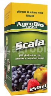 Scala 250ml