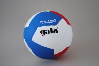 Volejbalový míč Gala Pro Line BV 5595 S HANDSHAKE