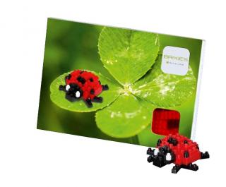 BRIXIES Postcard Ladybird