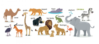 Dětské samolepky na zdi 14 zvířat animals učení