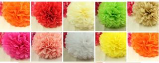 Papírové květinové koule Pom-poms 15cm Sada 10 kusů (Sada 10 kusů )