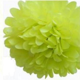 Papírové květinové koule Pom-poms 20cm - zelená mint