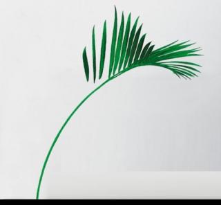 Samolepky na zdi Palmový list (arch 50x70) (SLEVA)
