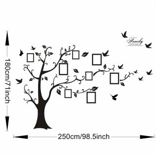 Samolepky na zeď XXL strom na fotky 250x180 cm černý (AKCE SLEVA)