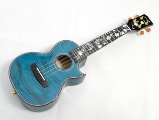 Koncertní ukulele Enya EUC-Flower Blue