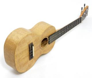 Koncertní ukulele PONO MGC Celomasivní mango (Nadherné mango solid koncertní ukulele)