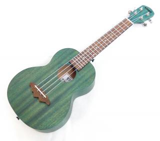 Koncertní ukulele VTAB EL-55B