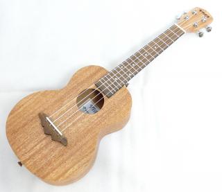 Koncertní ukulele VTAB EL-55N