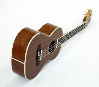 Šestí strunné tenor ukulele Kala KA 6 Mahagon (Mahagonové 6. strunné tenor ukulele s pouzdrem)